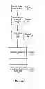 Fig. 03 - Methods of Predicting Musculoskeletal Disease