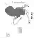 Fig. 13 - Method and system for patient-specific modeling of blood flow