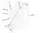 Fig. 01 - Rotary support including bearings