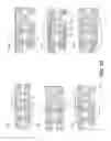 Fig. 07 - Interposer with polymer-filled or polymer-lined optical through-vias in thin glass substrate