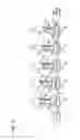 Fig. 03 - Directional coupling-type multi-drop bus