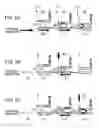 Fig. 06 - Directional coupling-type multi-drop bus