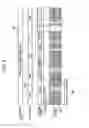 Fig. 10 - Recording medium, reproducing apparatus, and reproducing method