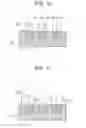 Fig. 09 - DEVELOPING ROLLER, DEVELOPING DEVICE, AND IMAGE FORMING APPARATUS