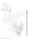 Fig. 06 - Fish levitation system