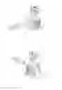 Fig. 01 - Spreading connector