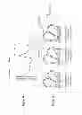 Fig. 03 - Twin-scroll turbocharger