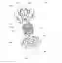 Fig. 01 - Pump roller assembly with independently sprung rollers