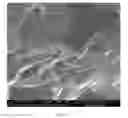 Fig. 06 - PRODUCTION OF GRAPHENE USING ELECTROMAGNETIC RADIATION