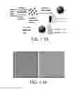 Fig. 02 - Probes, Methods of Making Probes, and Methods of Use