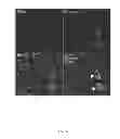 Fig. 13 - COMPOSITIONS AND METHODS RELATED TO TISSUE TARGETING