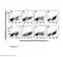 Fig. 05 - Polypeptides targeting vascular endothelial growth factor receptor-2 and alpha V beta 3 integrin