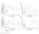 Fig. 10 - Polypeptides targeting vascular endothelial growth factor receptor-2 and alpha V beta 3 integrin