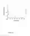 Fig. 11 - Polypeptides targeting vascular endothelial growth factor receptor-2 and alpha V beta 3 integrin