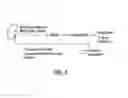 Fig. 06 - Methods for therapeutic renal denervation