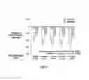 Fig. 08 - Methods for therapeutic renal denervation