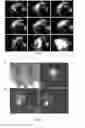Fig. 05 - FLUORESCENT COMPOSITIONS WITH ENHANCED FLUORESCENCE AND METHODS BASED THEREON