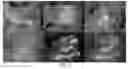 Fig. 06 - FLUORESCENT COMPOSITIONS WITH ENHANCED FLUORESCENCE AND METHODS BASED THEREON