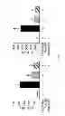 Fig. 09 - Galactolipids-Enriched Plant Extracts And The Uses Thereof