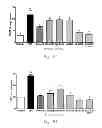 Fig. 22 - Galactolipids-Enriched Plant Extracts And The Uses Thereof