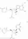 Fig. 02 - NOVEL 2'-C-METHYL NUCLEOSIDE DERIVATIVE COMPOUNDS