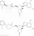 Fig. 14 - NOVEL 2'-C-METHYL NUCLEOSIDE DERIVATIVE COMPOUNDS