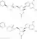 Fig. 16 - NOVEL 2'-C-METHYL NUCLEOSIDE DERIVATIVE COMPOUNDS