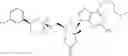 Fig. 33 - NOVEL 2'-C-METHYL NUCLEOSIDE DERIVATIVE COMPOUNDS