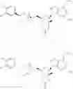 Fig. 53 - NOVEL 2'-C-METHYL NUCLEOSIDE DERIVATIVE COMPOUNDS