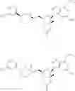 Fig. 54 - NOVEL 2'-C-METHYL NUCLEOSIDE DERIVATIVE COMPOUNDS