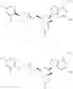 Fig. 55 - NOVEL 2'-C-METHYL NUCLEOSIDE DERIVATIVE COMPOUNDS