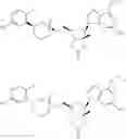 Fig. 60 - NOVEL 2'-C-METHYL NUCLEOSIDE DERIVATIVE COMPOUNDS