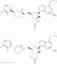 Fig. 64 - NOVEL 2'-C-METHYL NUCLEOSIDE DERIVATIVE COMPOUNDS