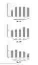 Fig. 06 - INJECTABLE CNS-DERIVED ECM FOR TISSUE RECONSTRUCTION