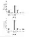 Fig. 10 - INJECTABLE CNS-DERIVED ECM FOR TISSUE RECONSTRUCTION