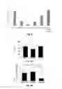 Fig. 13 - INJECTABLE CNS-DERIVED ECM FOR TISSUE RECONSTRUCTION