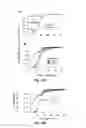 Fig. 16 - INJECTABLE CNS-DERIVED ECM FOR TISSUE RECONSTRUCTION