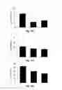 Fig. 17 - INJECTABLE CNS-DERIVED ECM FOR TISSUE RECONSTRUCTION