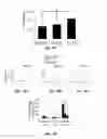 Fig. 18 - INJECTABLE CNS-DERIVED ECM FOR TISSUE RECONSTRUCTION