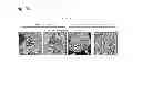 Fig. 08 - Method for inducing differentiation enabling tumorigenesis of IPS cells to be suppressed