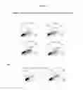 Fig. 08 - Granzyme B protease variants