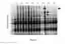 Fig. 08 - Methods of predicting and decreasing the risk of pregnancy loss