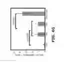 Fig. 13 - Combination therapy to prevent DCIS formation and progression to breast cancer