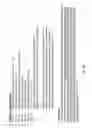 Fig. 09 - COMBINATION THERAPY OF AN AFUCOSYLATED CD20 ANTIBODY WITH A CD79b ANTIBODY-DRUG CONJUGATE