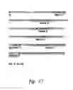 Fig. 14 - IL-17 RECEPTOR A  ANTIGEN BINDING PROTEINS