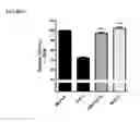 Fig. 13 - Anti-TNF alpha monoclonal secretory IgA antibodies and methods for treating inflammatory diseases