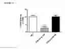 Fig. 15 - Anti-TNF alpha monoclonal secretory IgA antibodies and methods for treating inflammatory diseases