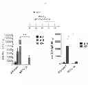 Fig. 04 - REPEATED ADMINISTRATION OF NON-IMMUNOSUPPRESSIVE ANTIGEN SPECIFIC IMMUNOTHERAPEUTICS