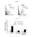 Fig. 04 - Monophosphorylated lipid A derivatives