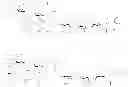 Fig. 25 - Monophosphorylated lipid A derivatives